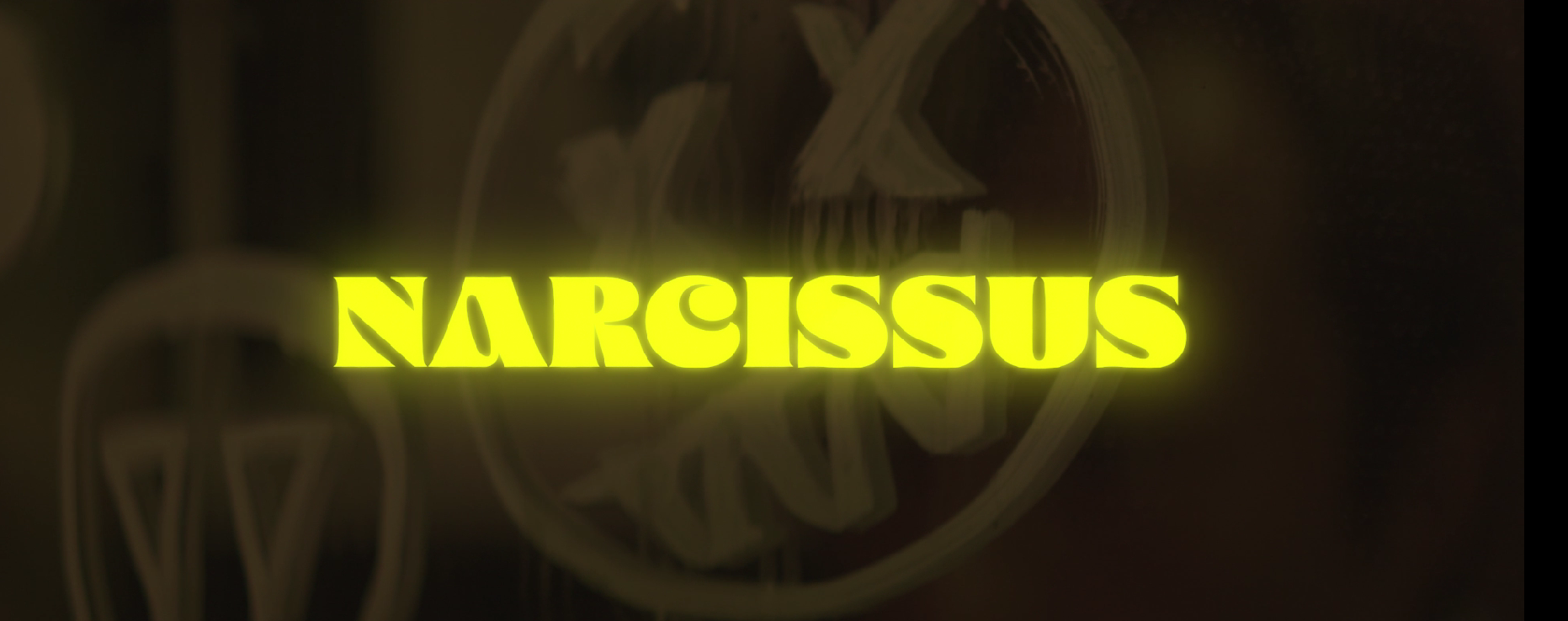 narcissus